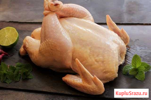 Мясо бройлерных цыплят Сысерть - изображение 1