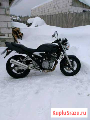 Suzuki GSF250 bandit Великий Устюг - изображение 1
