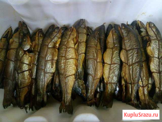 Форель горячего копчение бесплатная доставка Сочи - изображение 1