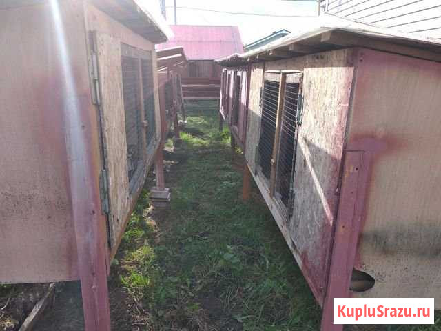 Кроличьи клетки Белоомут - изображение 1