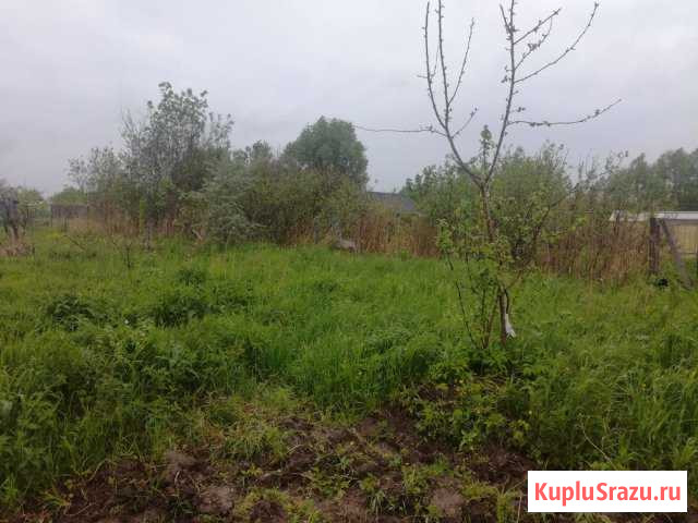  Петергоф - изображение 1