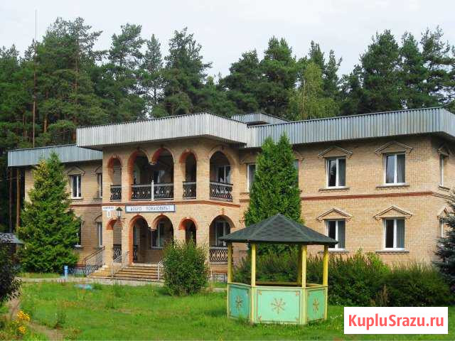 Детский оздоровительный лагерь, 5707.6 кв.м. Орехово-Зуево - изображение 1