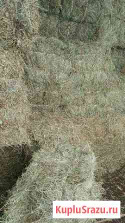 Сено в тюках Одинцово