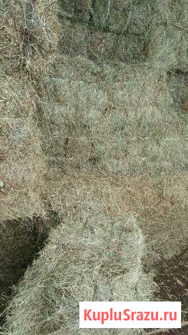 Сено в тюках Одинцово - изображение 1