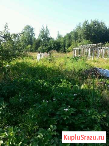  Красное Село - изображение 1
