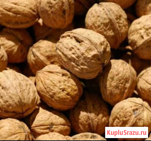 Продаю грецкий орех Зверево - изображение 1