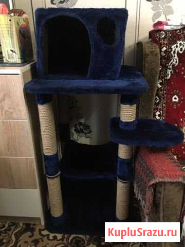 Дом для кота Наро-Фоминск - изображение 1