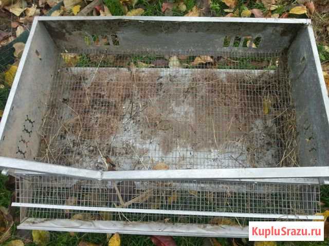 Клетка для перепелов Бронницы - изображение 1