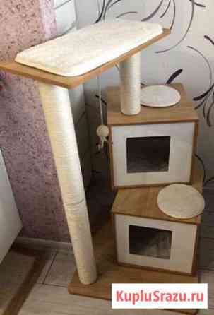 Когтеточка Дмитров