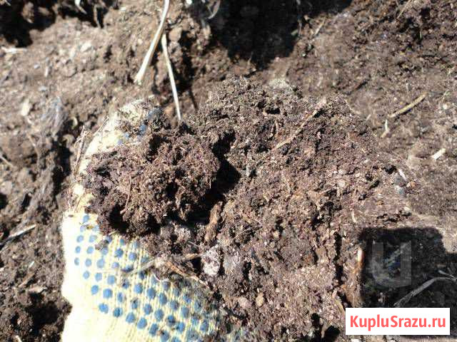 Навоз коровий (перегной) Егорьевск - изображение 1