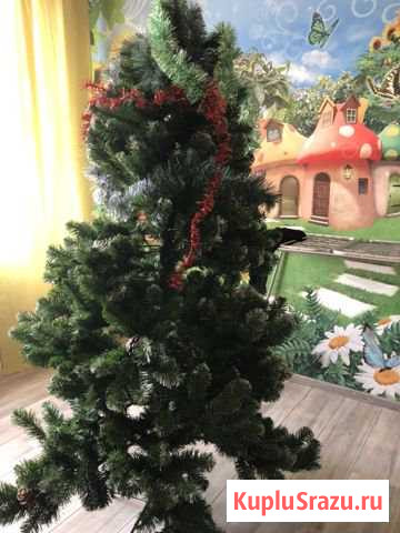 Ёлка Видное - изображение 1