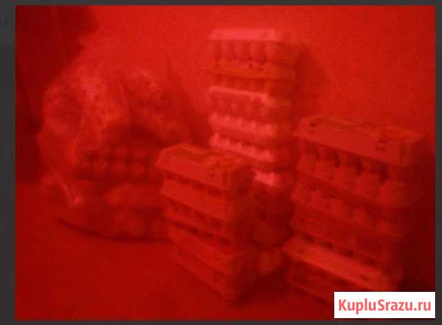 Коробки для яиц Одинцово - изображение 1