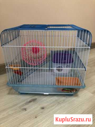 Клетка Дмитров - изображение 1