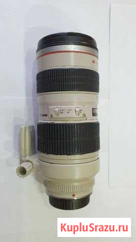 Canon 70-200 2.8 USM Мосрентген - изображение 1