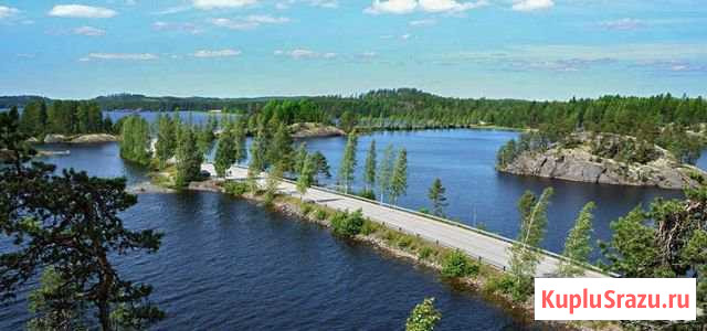 Зеленое золото Саймы Санкт-Петербург - изображение 1