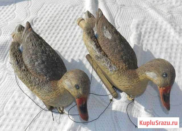 Профиля утки-2шт Красное Село - изображение 1