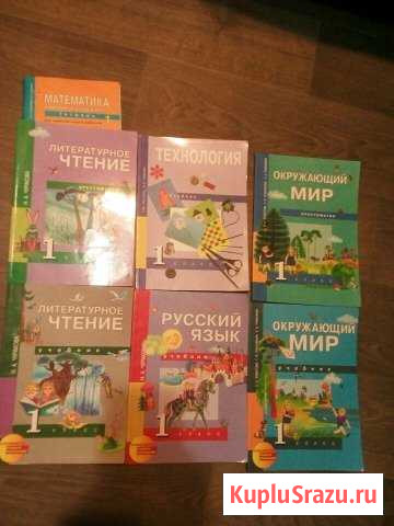 Учебники 1 класс (Стандарты второго поколения) Анастасиевская - изображение 1