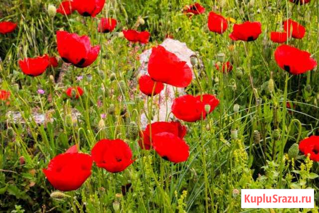 Горящий тур Турция Сиде Спа-Отель 5 Звезд 7 Дней Санкт-Петербург - изображение 1