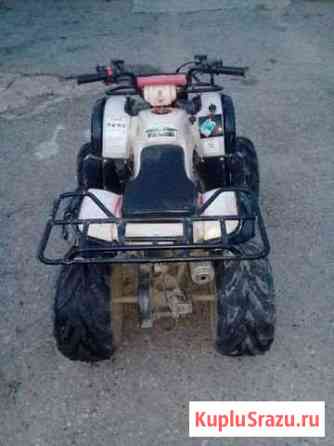 Atv irbis 125u Шедок
