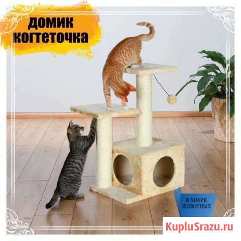 Когтеточки для ваших любимцев Белореченск - изображение 1