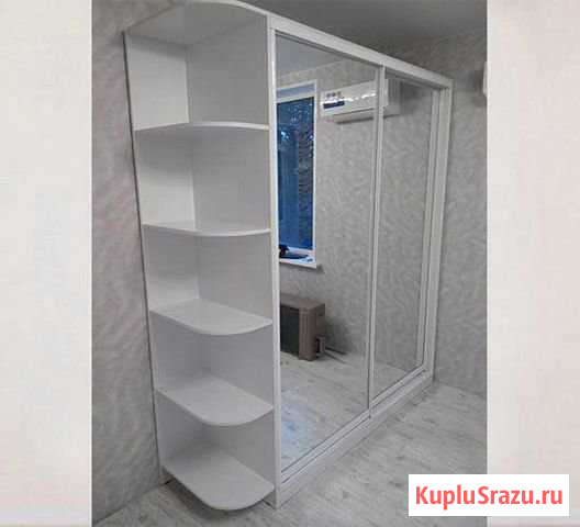 Шкаф-купе двухдверный Егорьевск - изображение 1