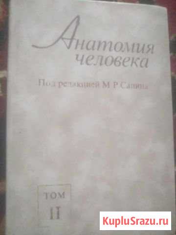 Анатомия человека Котельники - изображение 1