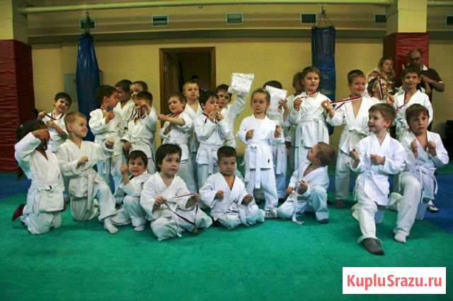 Единоборства детям 4-6 лет в Реутов Реутов - изображение 1
