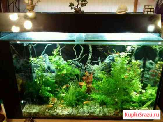 Аквариум Набережные Челны