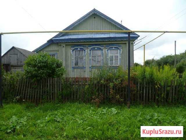 Дом 40 кв.м. на участке 55 сот. Шатки - изображение 1