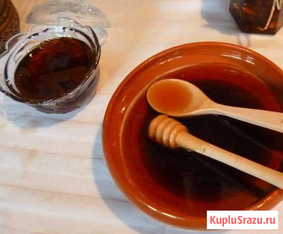 Каштановый мёд Сочи - изображение 1