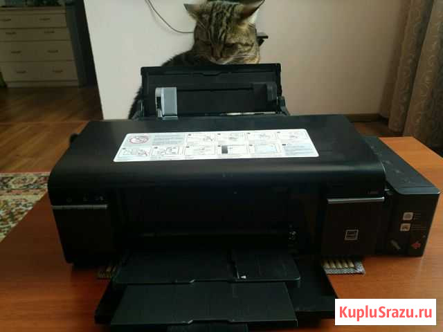 Принтер Epson L800 Лабинск - изображение 1