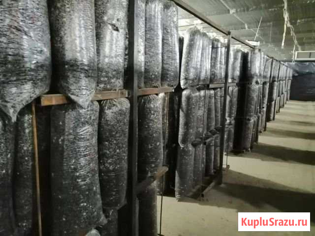 Грибные блоки Челбасская - изображение 1