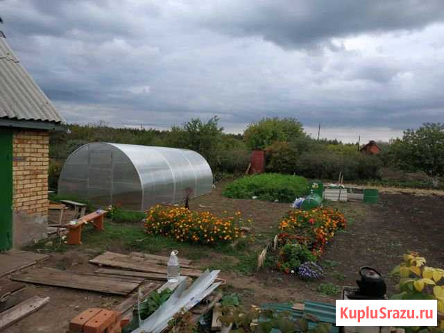 Теплица Бугульма - изображение 1