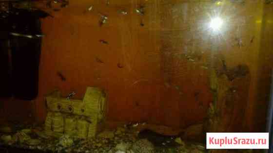 Аквариум в комплекте Набережные Челны