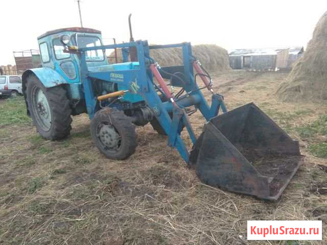 Т 40 ам с куном Кунашак - изображение 1