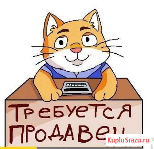 Продавец Миасс - изображение 1