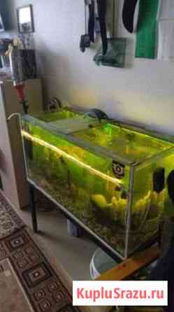 Продам аквариум на 200л вместе с рыбками количеств Красногорск