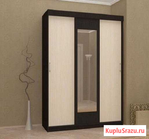 Шкаф-купе Подольск - изображение 1