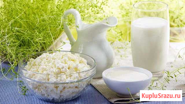 Молочные продукты Сергиев Посад - изображение 1