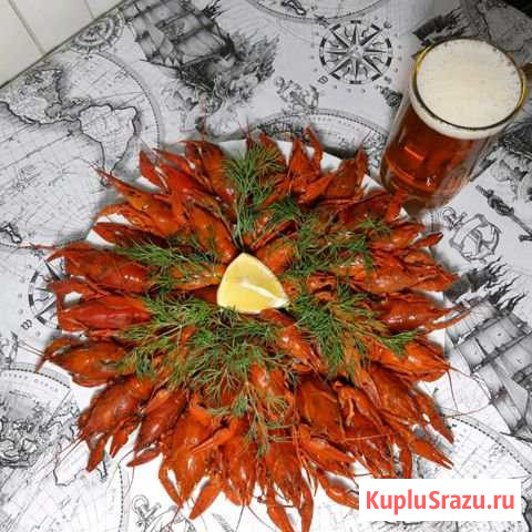 Раки кубанские вареные и живые Славянск-на-Кубани - изображение 1