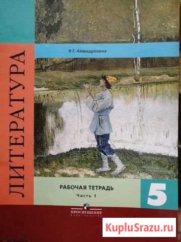 Рабочие тетради по литературе 5 класс, Ахмадуллина Люберцы - изображение 1