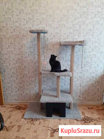 Когтеточка. Игровой комплекс с домиком Подольск - изображение 1