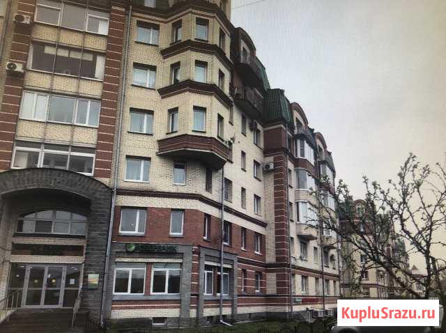Продажа помещений Пушкин, Школьная, 39 Пушкин - изображение 1