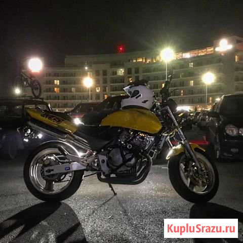 Honda Hornet CB 250 F Сочи - изображение 1