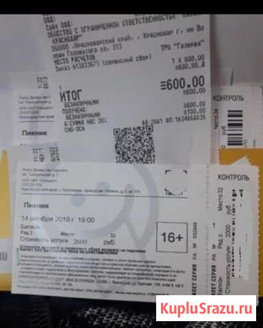 Билет на Пикник Краснодар - изображение 1