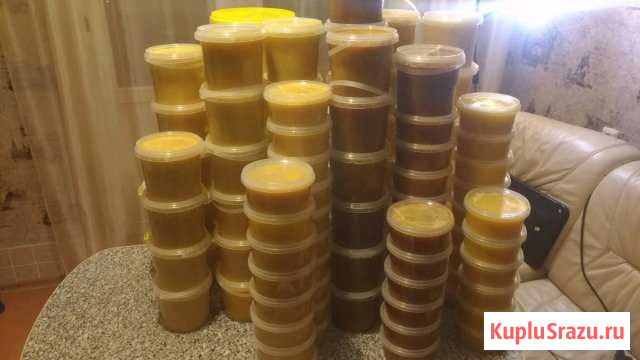 Мед Цветочный, Гречишный,Подсолнечниковый Троицк - изображение 1