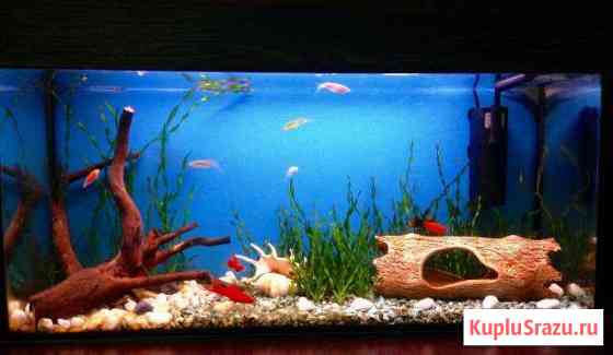 Аквариум 80 литров Набережные Челны