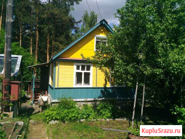  Исеть - изображение 1