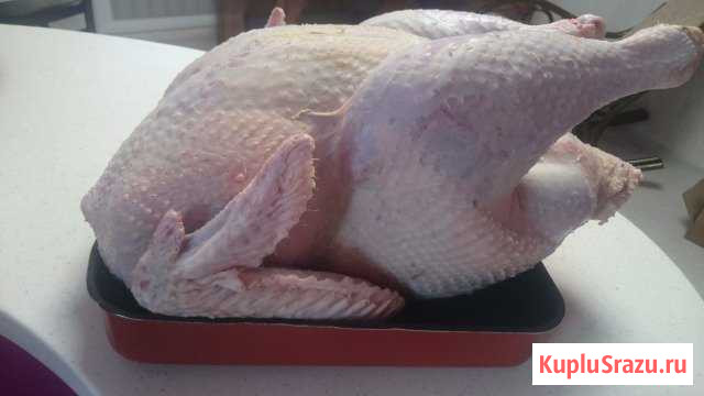 Домашнее мясо индейки Арзамас - изображение 1