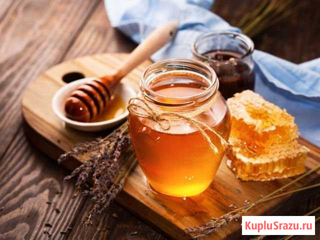 Мед Лесной Городок - изображение 1